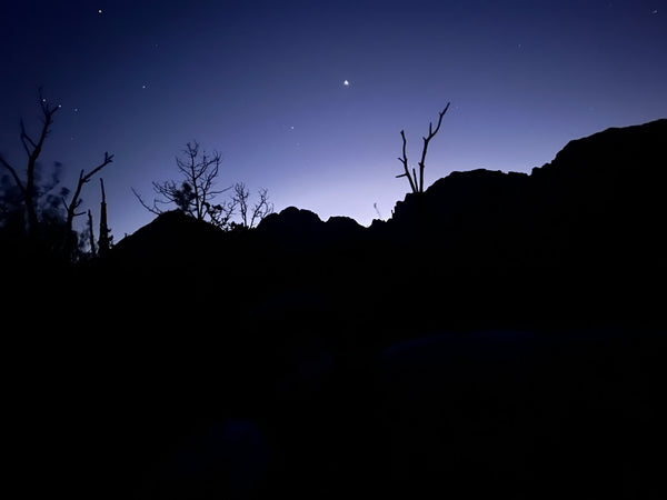 Krissy and Friends, aka Mullet Train, Arizona Trail Part Two