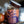 Spiced Chai - Jar